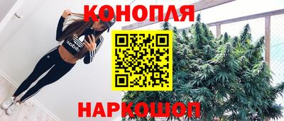 сатива Камышлов