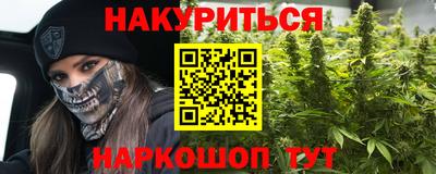 сатива Камышлов
