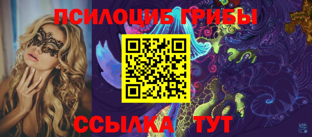 Галлюциногенные грибы Cubensis Конаково